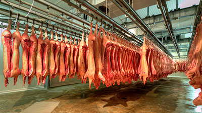 EU Automation为肉制品行业供应自动化零配件。
