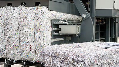 Paper & Pulp